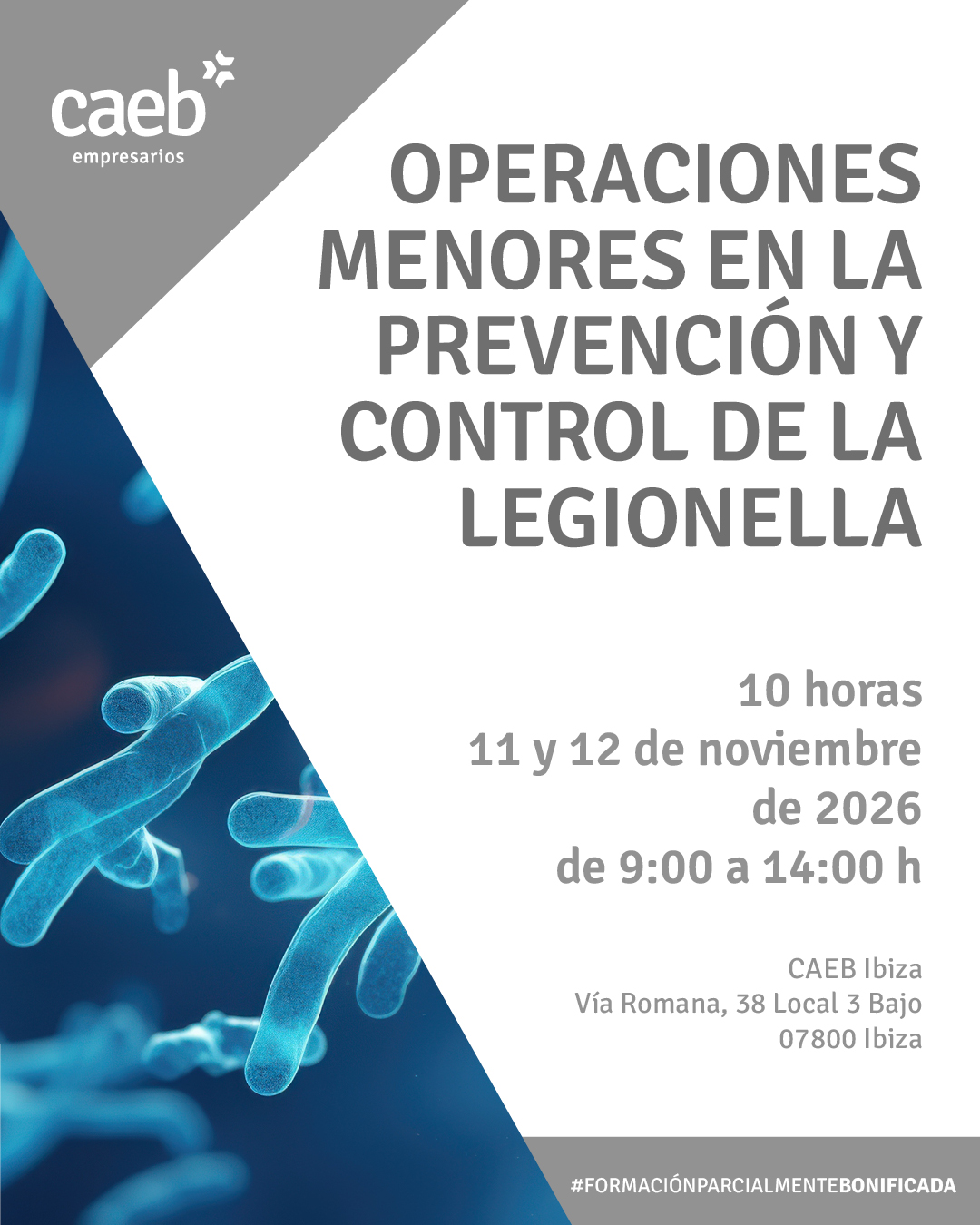 (Ibiza) Operaciones Menores para la Prevención y Control de la Legionella. Parcialmente Bonificable