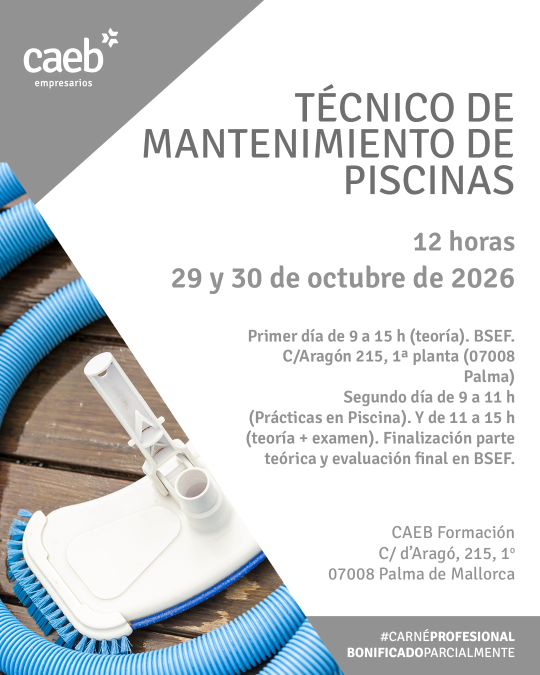 (Mallorca) Técnico de mantenimiento de piscinas. Presencial. Parcialmente Bonificable