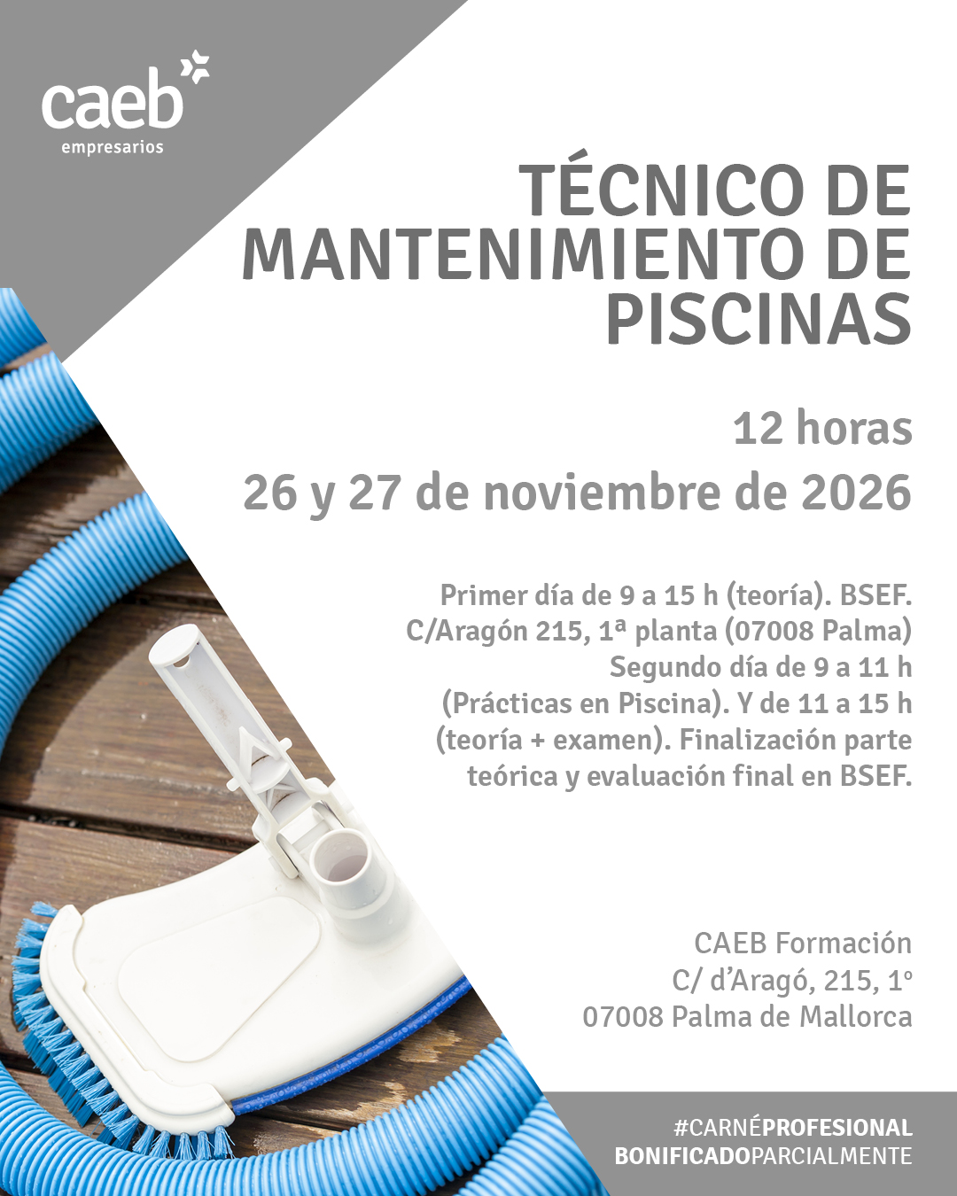 (Mallorca) Técnico de mantenimiento de piscinas. Presencial. Parcialmente Bonificable